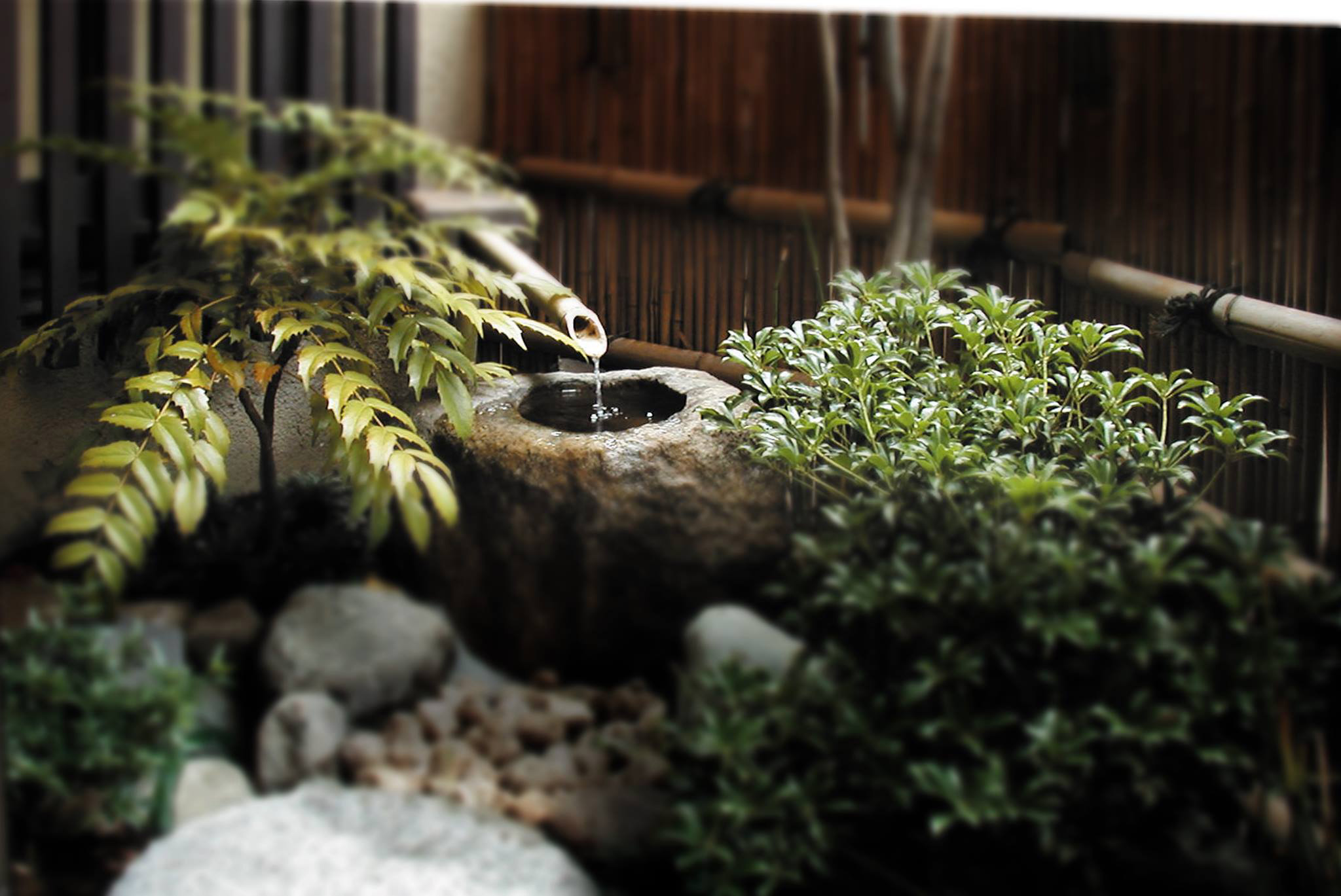 東京 葛飾区 都内近郊の造園・庭・植木 小林造園の外観