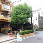 基本剪定とは？の外観